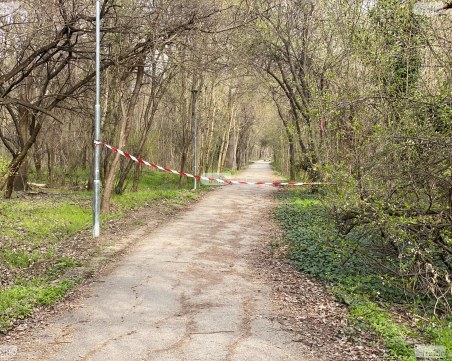 Отварят 9 зони за разходка в Пловдив! Вижте кои са те