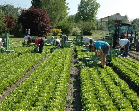 Германия въвежда процедура за влизане на български сезонни работници