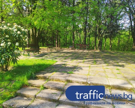 Ограждат хиляди пейки по парковете в Пловдив