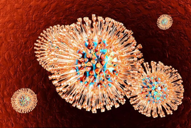 Учените дешифрираха генома на вируса херпес