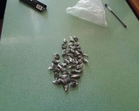 Арестуваха жена в Пазарджик, след обиск в дома й