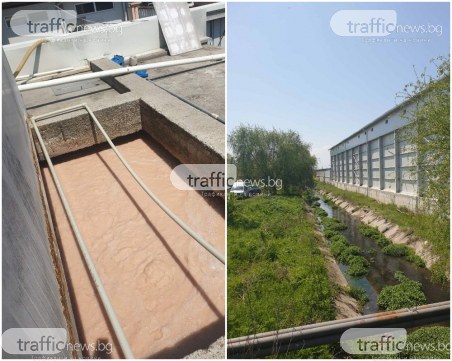 Отново: Мандра в в пловдивско село замърси река Черна, глобата е до 10 бона