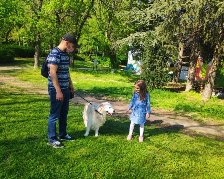 С куче и дете на тепето или в парка? Мисията невъзможна