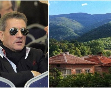 Одобриха продажбата на 370-те дка гора в Пазарджишко