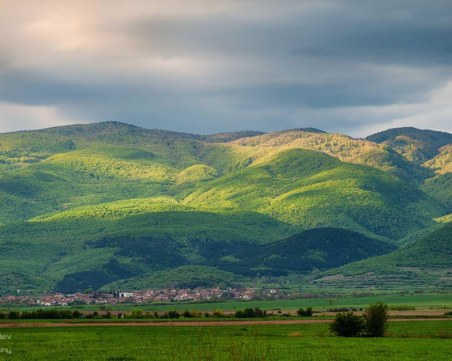 По време на пандемията: Продават на таен търг гората в Пазарджишко