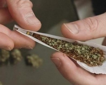 Двама пловдивчани в ареста за притежание на наркотици