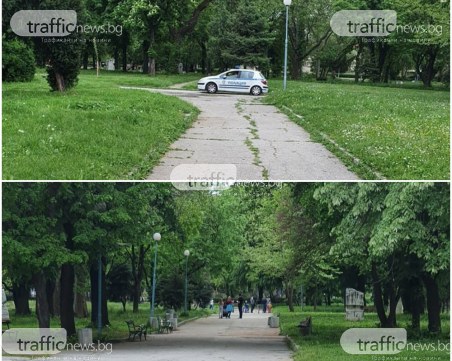 Патрулки влязоха в пловдивски парк след скандал между полицаи и пешеходци