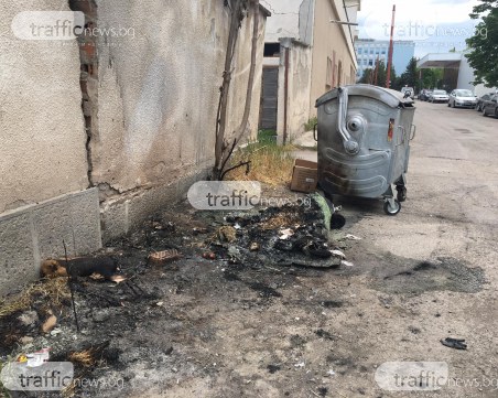 Жестокост! Кученце е било запалено, починало в мъки