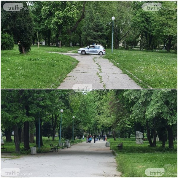 Патрулки влязоха в пловдивски парк след скандал между полицаи и пешеходци