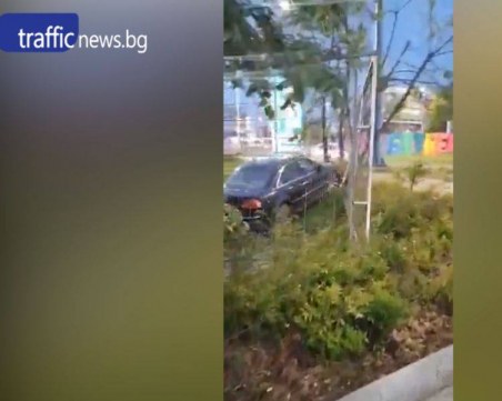 Каскада! Пловдивчанин 