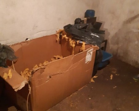 Спецакция! Разбиха незаконен цех за цигари в Столипиново