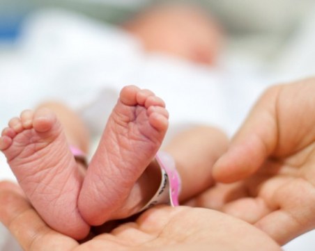 Всяко пето бебе ин витро се ражда в Пловдив
