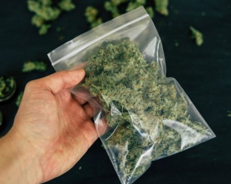 Хванаха 20-годишен пловдивчанин с почти половин килограм трева