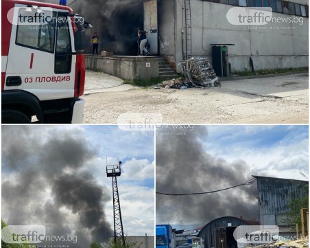 Осем са вече горящите халета до Адата, още екипи на пожарната пристигат намясто