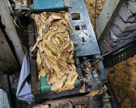 Спецакция! Разбиха цех за нелегален тютюн в Шекер махала