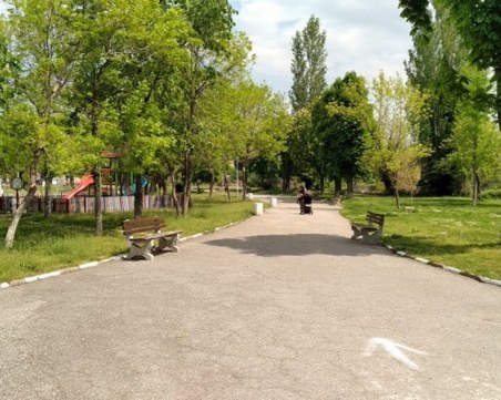 Градският парк в Асеновград остана без цветя, откраднаха ги