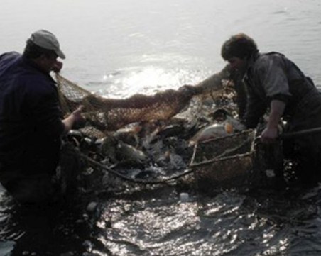 Отпускат над 16 млн. лв. на сектор 