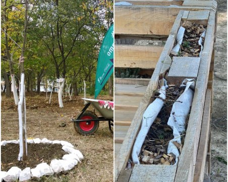 Вирусът на безразличието или защо никой не се грижи за Място Тракия