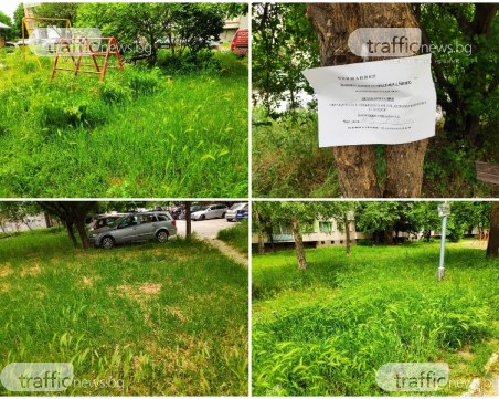 Престъпно нехайство! Пловдивски квартал с треви до колене, в тях пълно с кърлежи