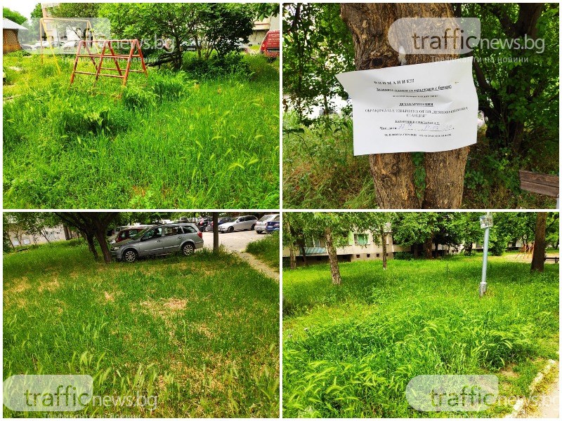 Престъпно нехайство! Пловдивски квартал с треви до колене, в тях пълно с кърлежи