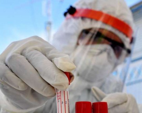 COVID-19 не идва от пазара за диви животни в Ухан, твърди проучване