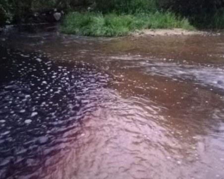 Затвориаха розоварна в Старосел заради замърсяване на река