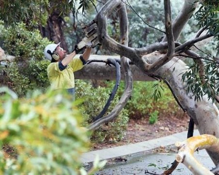 Най-силната буря на десетилетието остави 50 000 домакинства в Австралия без ток