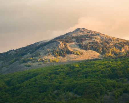 Пускат и автобусите към Витоша