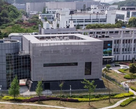 Експерт: Коронавирусът е перфектен - не може да е от животни