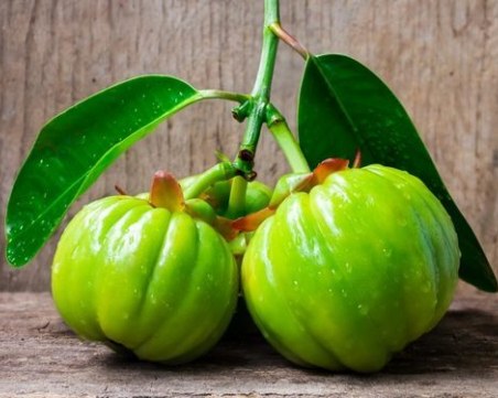 Гарциния Камбоджа - най-новата формула за отслабване и антистрес терапия