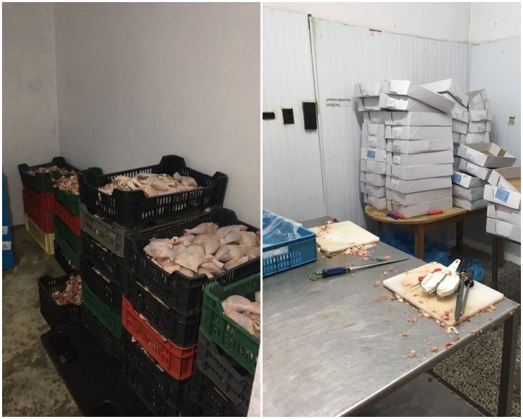 Удариха цех за месо край Пловдив! Унищожават 1 тон нелегална стока