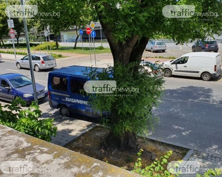 ДАНС и Спецпрокуратурата влязоха в пловдивското РИОСВ