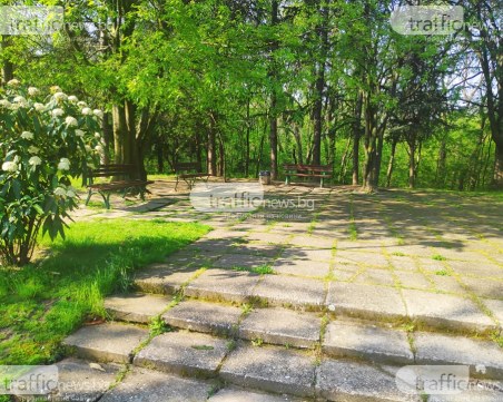 Добрият пример: Доброволци почистват Младежкия хълм