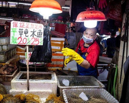 В Китай: Пазарът в Ухан не е източник, а жертва на вируса