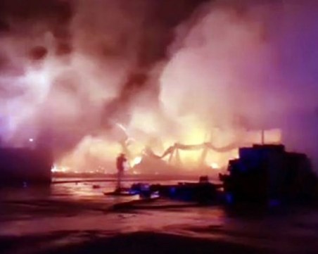 Тонове плодове и зеленчуци са унищожени при пожара в склада край Кърналово