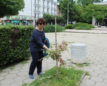 Вандали унищожиха градина в Пловдив, символ на мирното съжителство