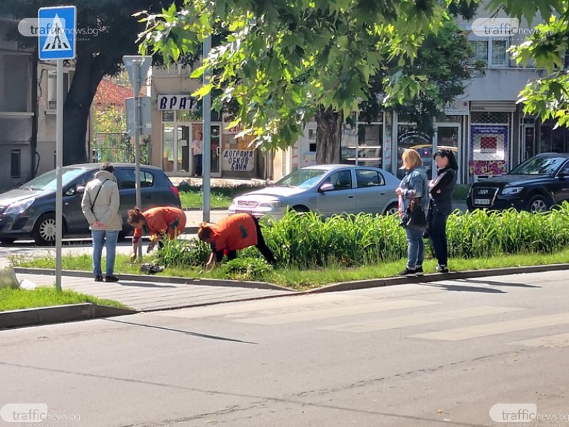 Трудоваците в пловдивските ОП-та: Двама работят, трима контролират