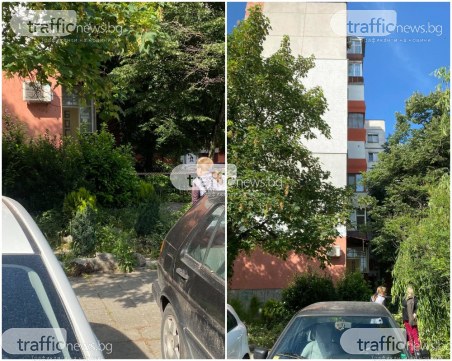 Мъж се самоуби в Тракия