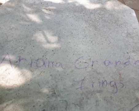 Младежи с вандалщина в Първенец, кметицата ги заплаши с полиция