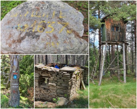 В дебрите на Родопите: До връх Ушите, през панорамната скала и боровинките