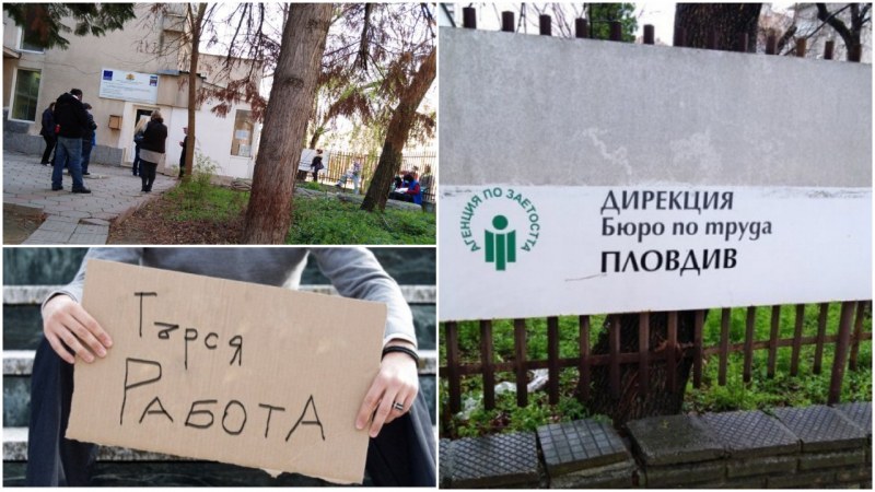 14 565 души в област Пловдив са осводобени от работа по време на извънредното положение
