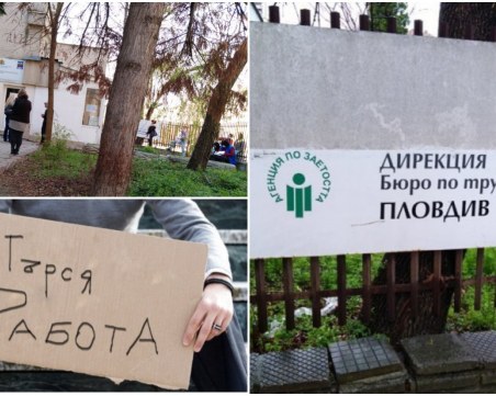 14 565 души в област Пловдив са осводобени от работа по време на извънредното положение