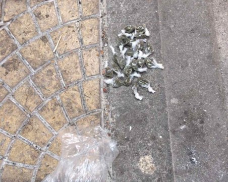 Акция в Столипиново! Дилърът Зеки е арестуван с бонзай