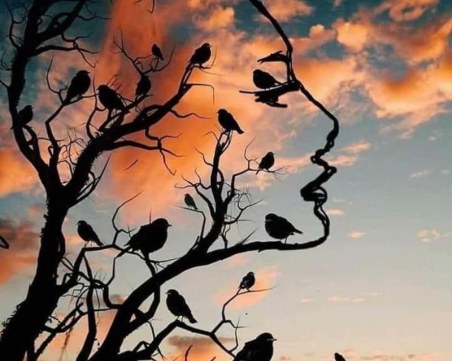 Д-р Никола Тодоров: Ние, 