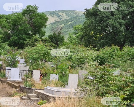 Гробищен парк край Пловдив - с трева до кръста! Чий ангажимент е почистването?