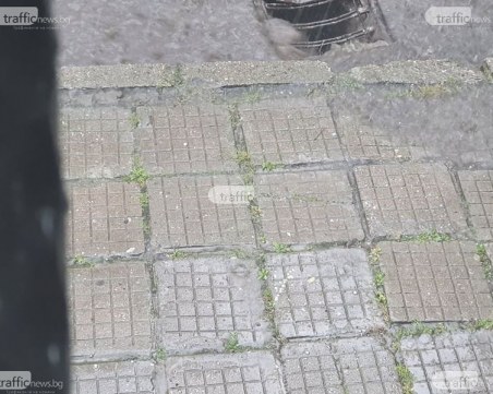 Силни бури и градушки удариха асеновградски села