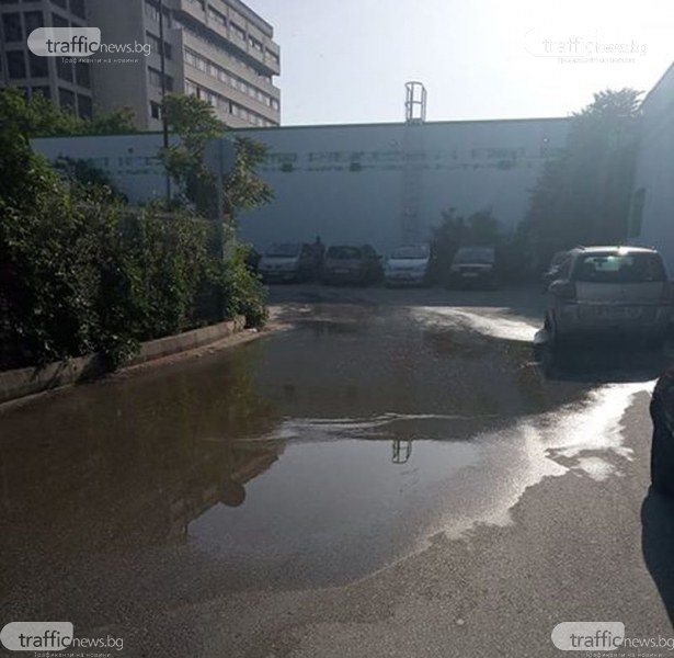 След всеки дъжд в Пловдив: Гьол се превръща в жабуняк до автогара