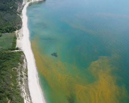 Водата в един най-красивите плажове в България пожълтя