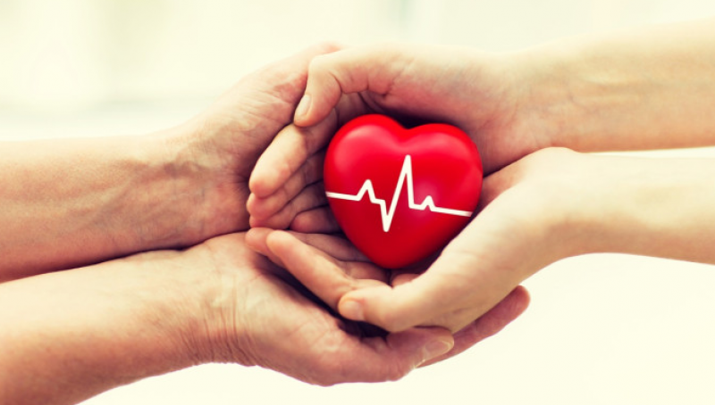 На този ден: Отбелязваме Световен ден на безвъзмездното кръводаряване и Световен ден на донора