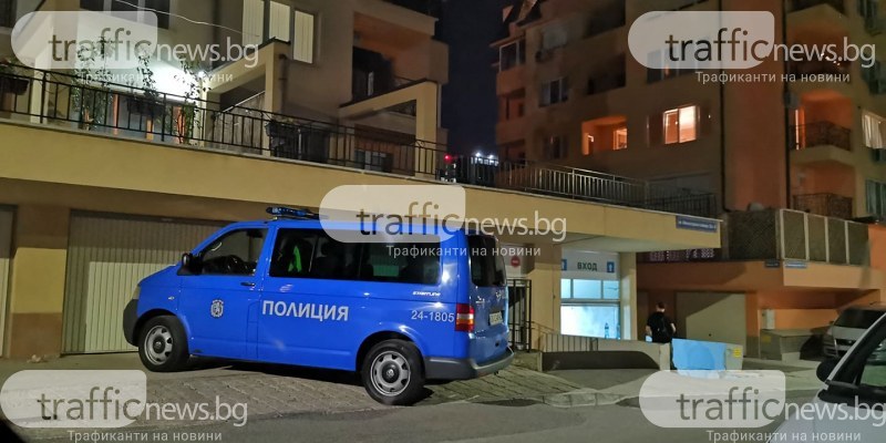 Пияни мъже нападнаха с камъни свой съсед край Пловдив, искали да му запалят къщата